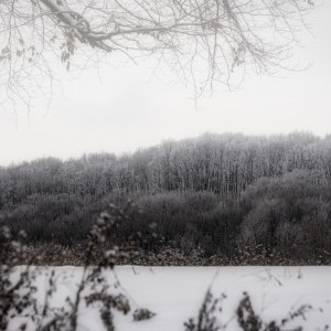 Havas erdei táj - Bükkszentkereszt