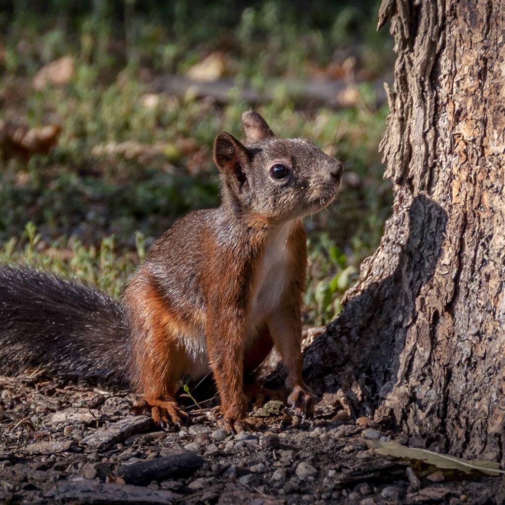 Természet- és táj fotók