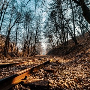 Erdei táj, Bükk, kisvasút