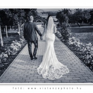 Kreatív fotózás - Merlot Borhotel